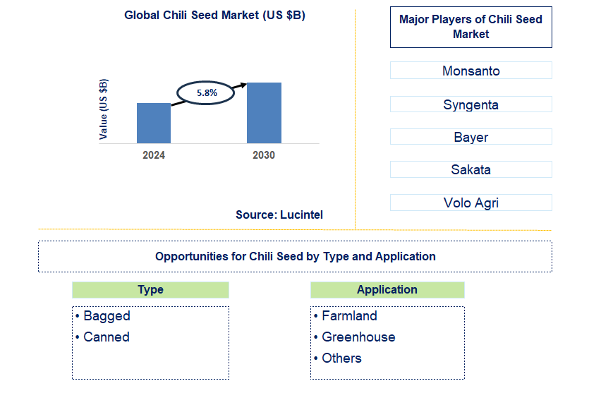 Chili Seed Trends and Forecast